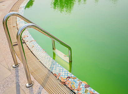 Conseils pour une eau verte dans sa piscine